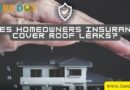 Does homeowners insurance cover roof leaks