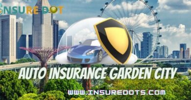 Auto Insurance Garden City